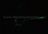 Decoration car door and dashboard 13
