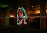 Fiber optic art picture 5