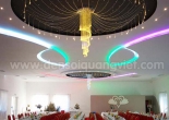 Fiber optic chandelier 17-2