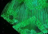 Fiber optic chandelier 5-2