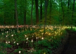 Fiber optic garden light 23